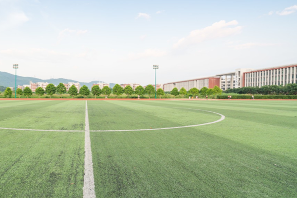 什麽是麻豆视频在线免费观看校園？麻豆视频在线免费观看校園發展內涵是？(圖1)